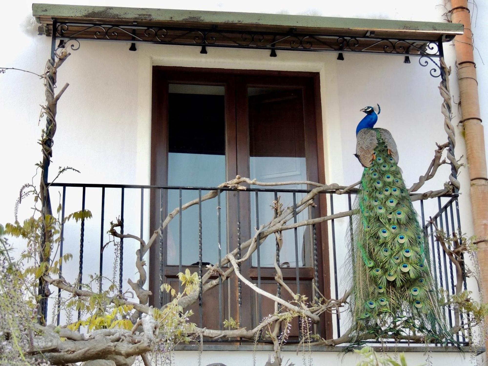 Agriturismo U Zu Peppino Lipari  Exterior foto